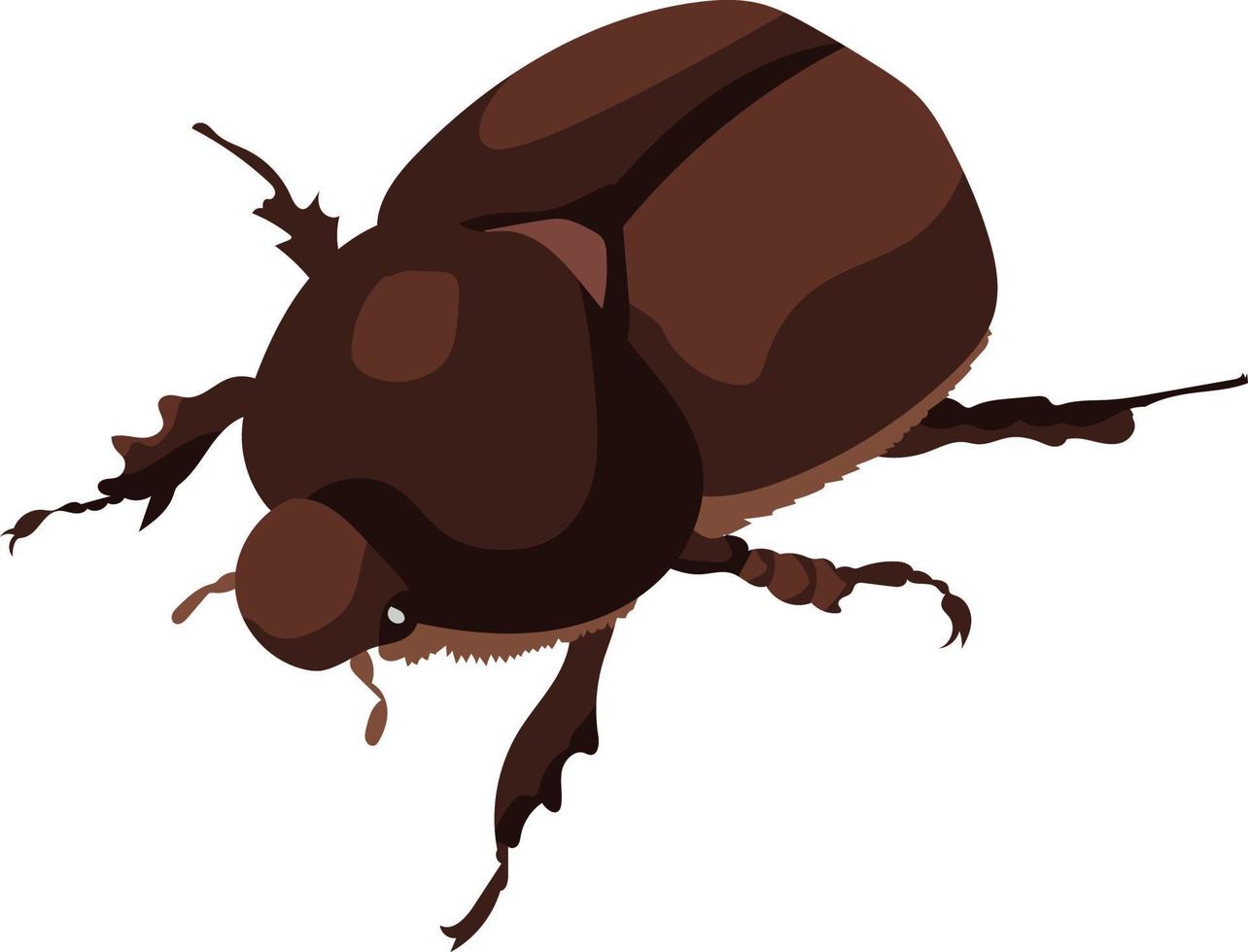 Female Stag Beetle vector