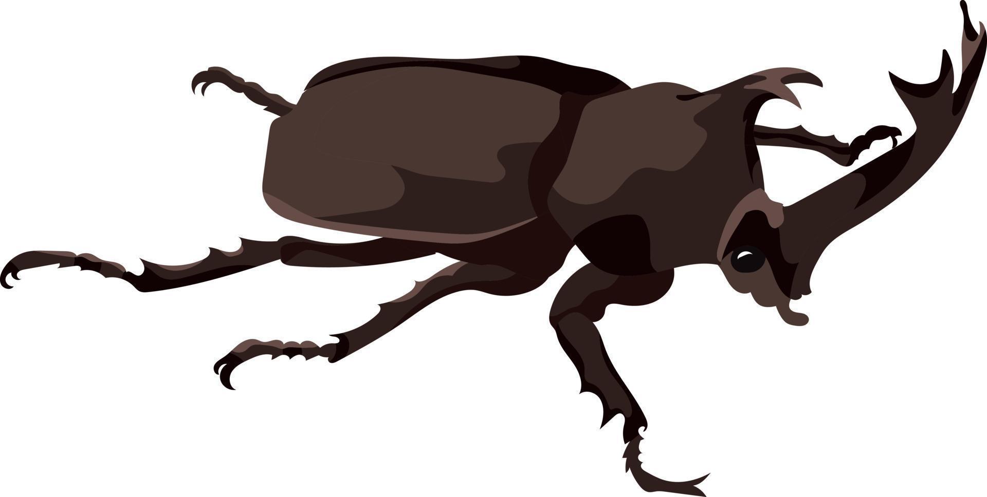 Male Stag Beetle 8919767 Vector Art at Vecteezy