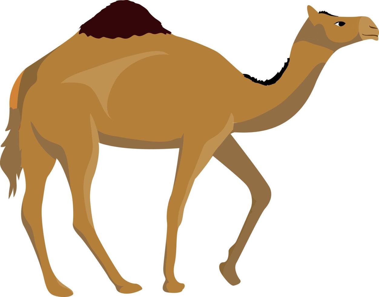 camello parado y caminando vector