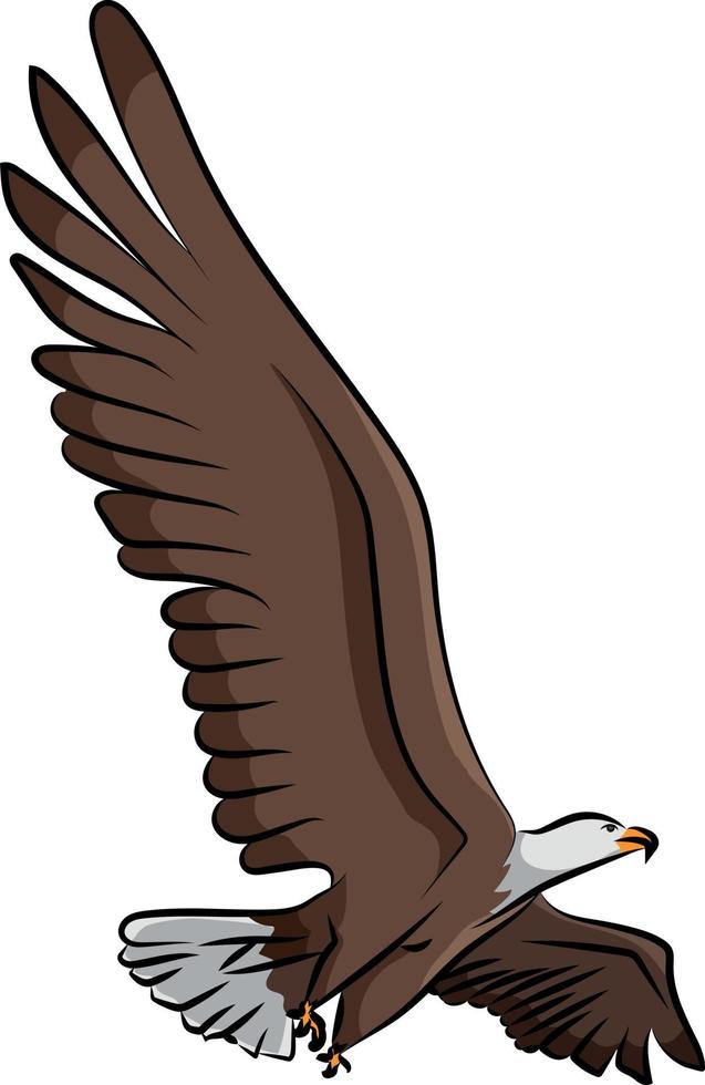 Eagle Flying With Open Wings vector