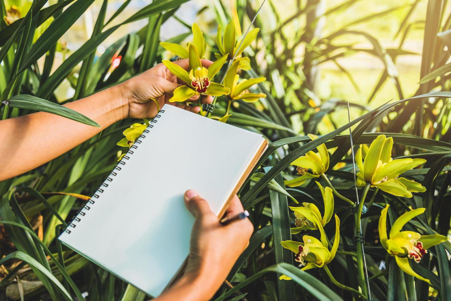 cuaderno con bolígrafo para escribir notas postales sobre el fondo de orquídeas amarillas foto