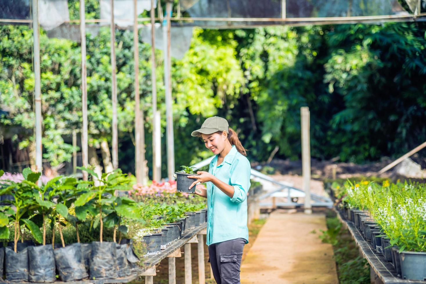 The girl are studying and Save the change of trees, flowers Beautiful garden flower background in nature farmers photo