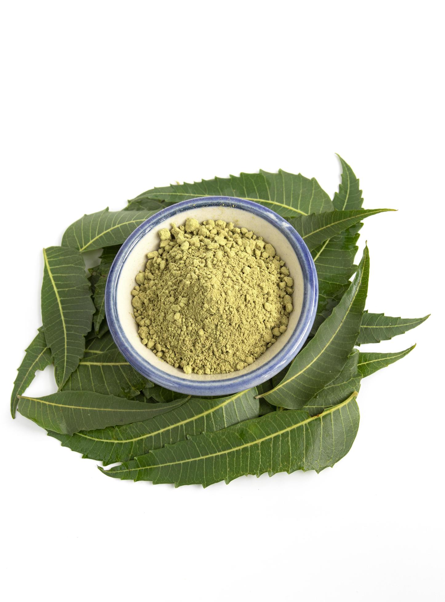 Ayurvedic herb Azadirachta indica or neem leaves with neem powder on a