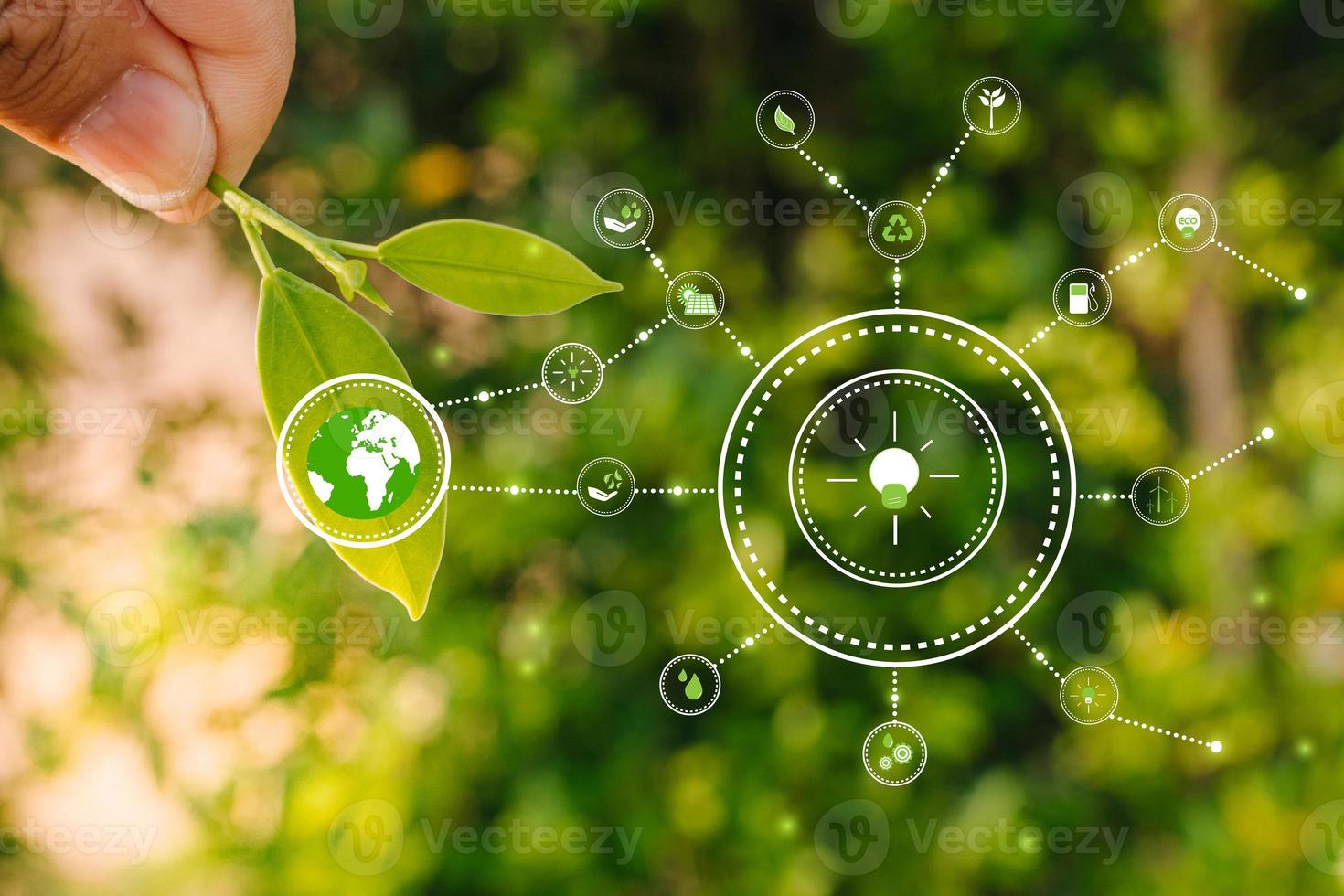 Hand holding young plant against green nature leaves background with icons energy sources for renewable, Ecology and Environment concept photo