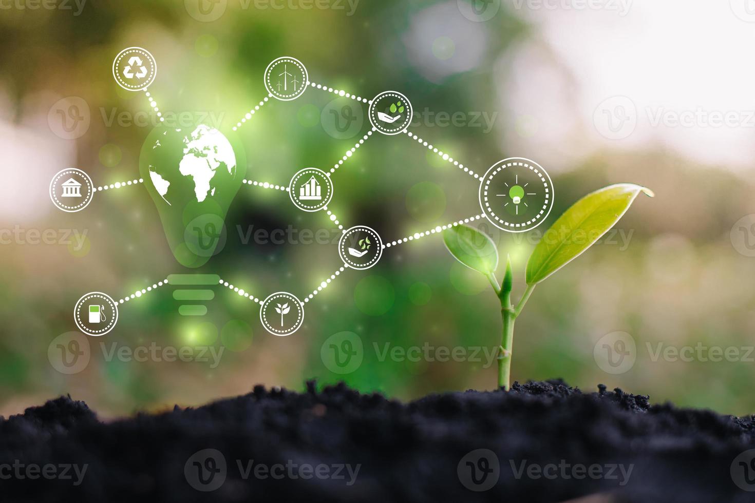 ESG icon concept circulating environment, society and governance. Esg. in sustainable business on networked connections on green background. photo