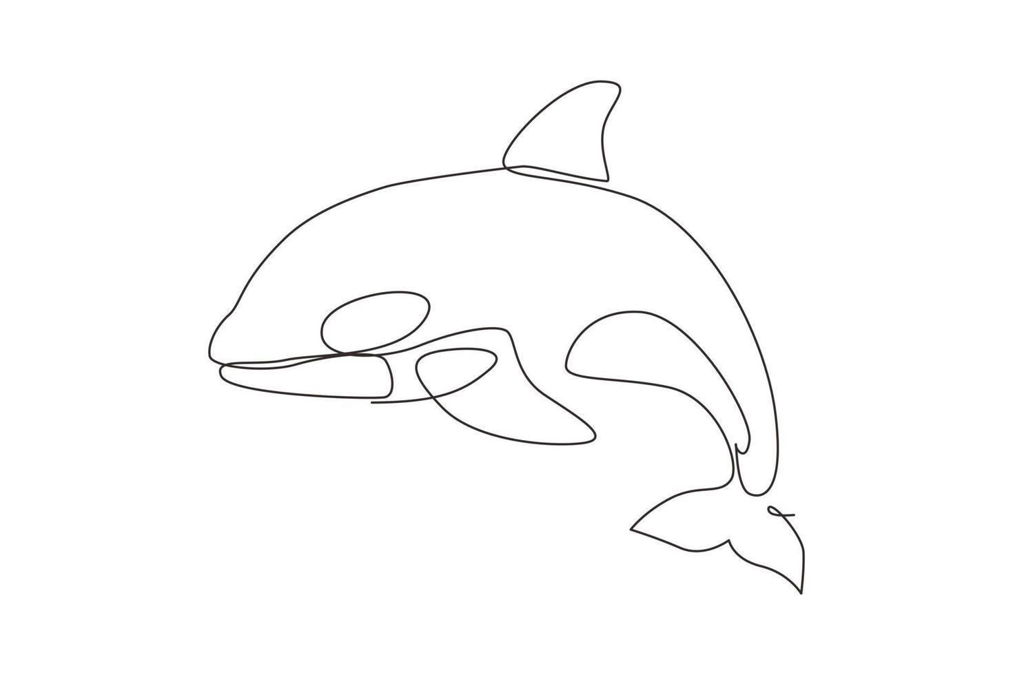 Single continuous line drawing whale killer orca in water. Wild whale killer fish animal mascot for aquatic swimming pool. Orca in under ocean water. One line draw graphic design vector illustration