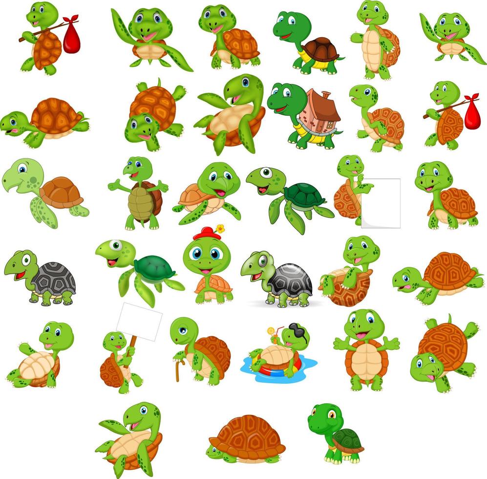 Cartoon turtle collection set vector