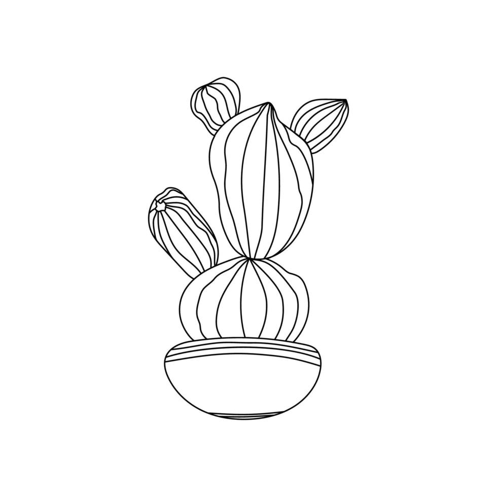 Indoor Cactus in pot. Cactus decorative home plant in pots vector