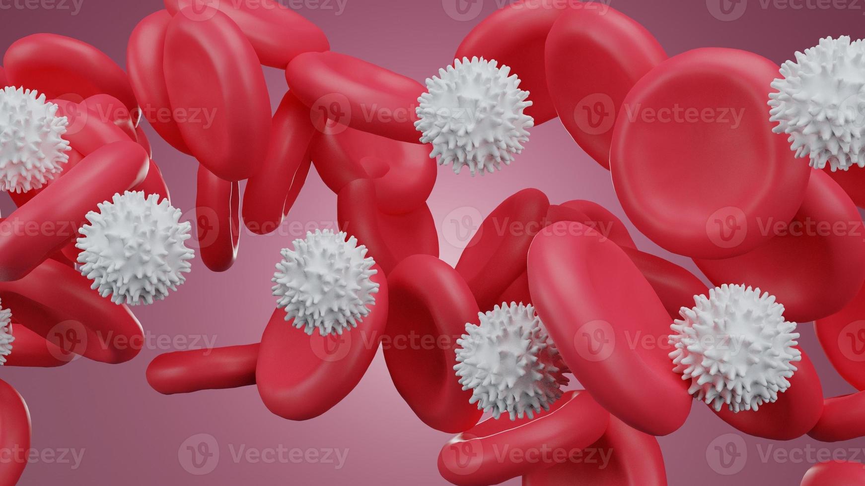 Red blood and white blood cells in bloodstream. Medicine and biology scientific research,Red blood cells in vein or artery, flow inside inside a living organism.seen micro.Vector illustrate. photo