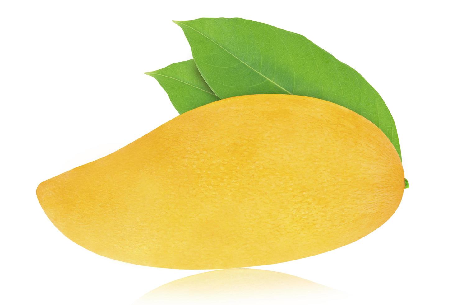 Mango fruit with leaf isolated white background with clipping path. photo