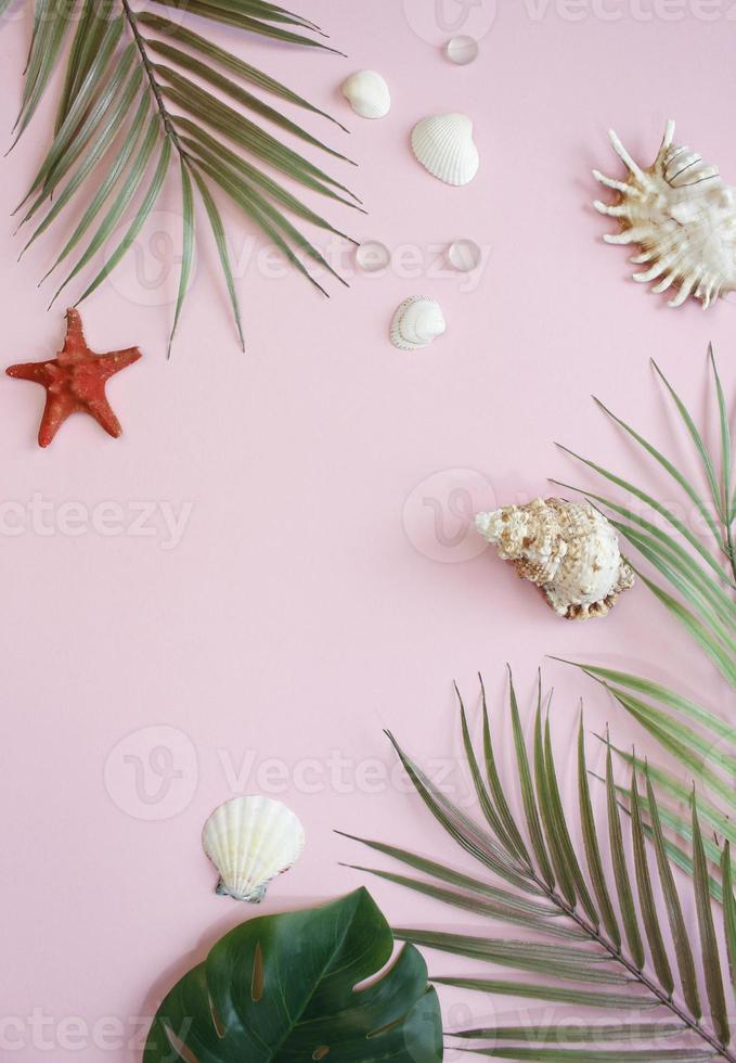 tropical palm leaf branches on pink background with empty space for text. Travel vacation concept. Summer background. Flat lay, top view. photo