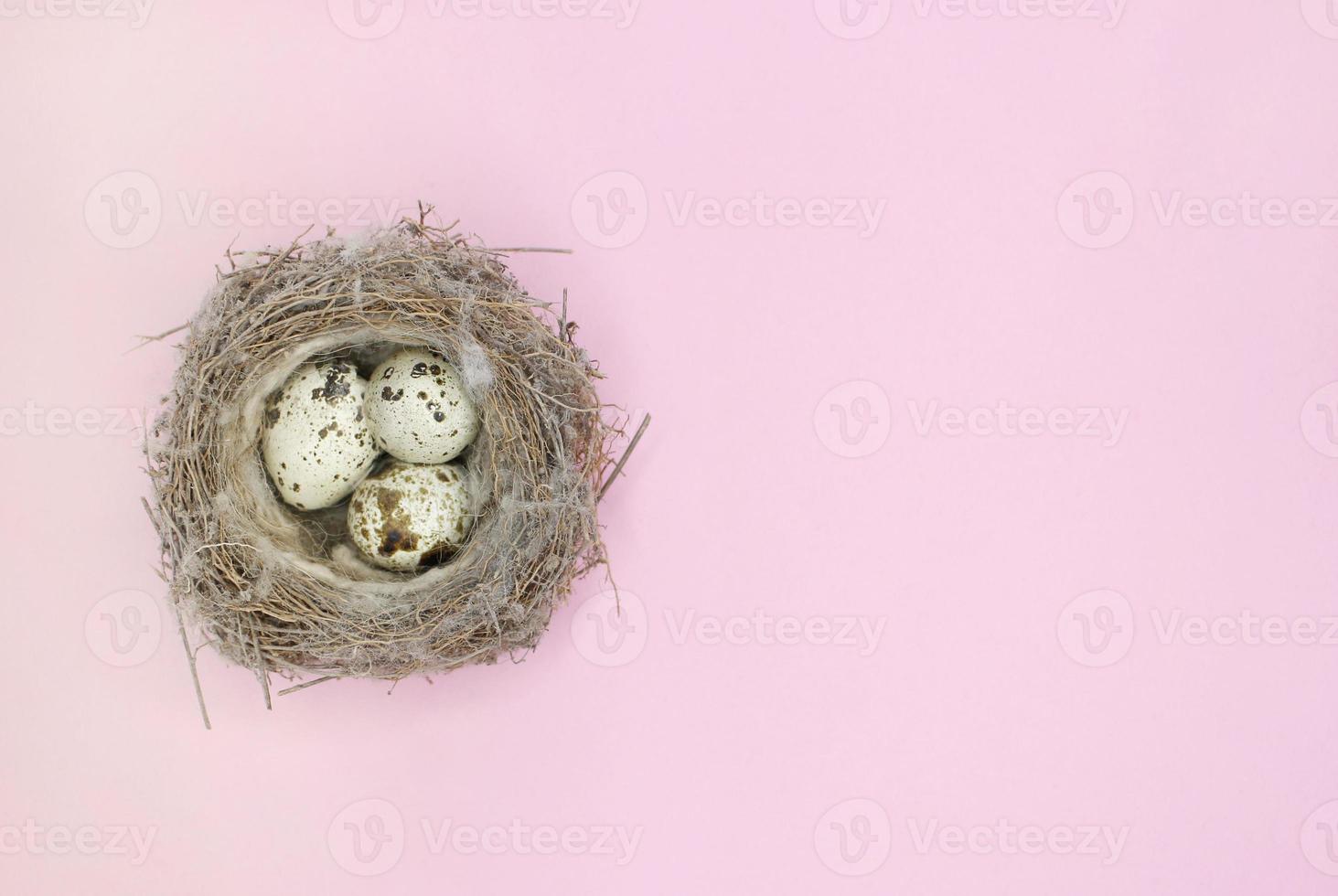 Felices Pascuas. hermosos huevos de codorniz coloridos en nido de pájaro sobre fondo azul claro, de cerca. copiar espacio para texto, plano. composición mínima de pascua. primavera. foto