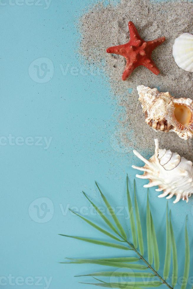 Summer composition. tropical palm leaves, seashells on blue background. Summer concept. Flat lay, top view, copy space photo