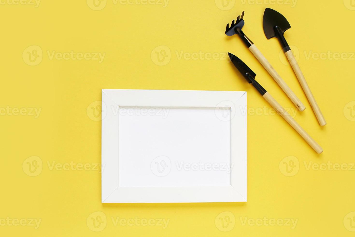 gardening tools and houseplant on color background. frame for mock up. copy space. photo