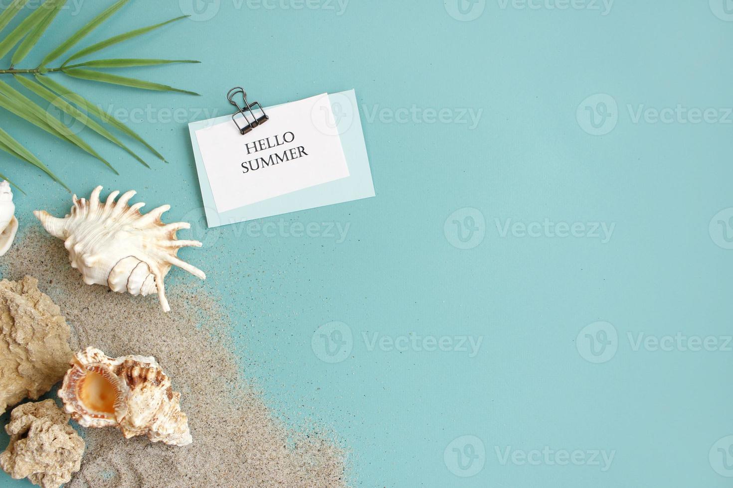 Summer composition. tropical palm leaves, seashells on blue background. Summer concept. Flat lay, top view, copy space photo