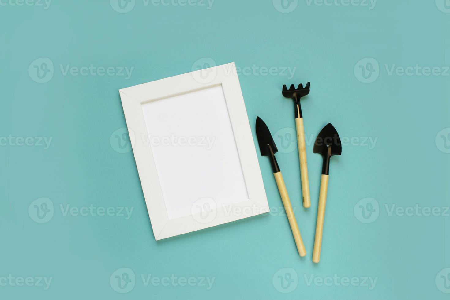 gardening tools and houseplant on color background. frame for mock up. copy space. photo