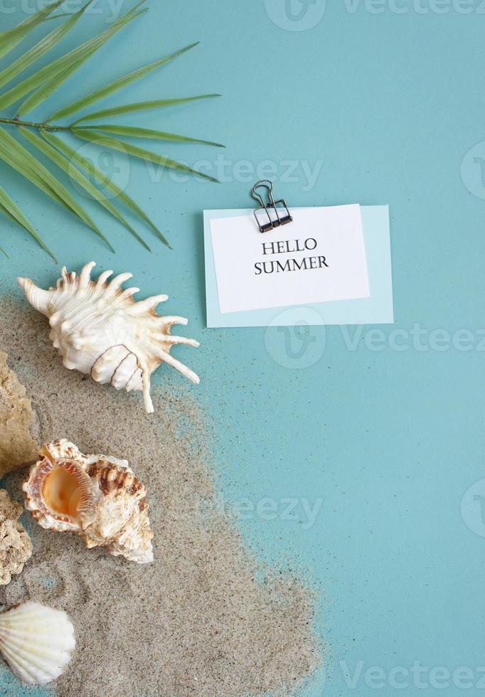 Summer composition. tropical palm leaves, seashells on blue background. Summer concept. Flat lay, top view, copy space photo