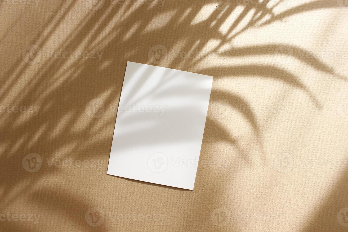 Card mockup with copy space top view, flat lay. Greetings, wedding invitations blank, paper sheet and dry palm leaf on beige background. photo