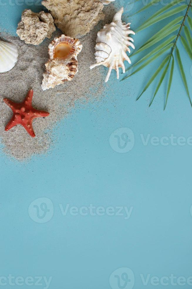 Summer composition. tropical palm leaves, seashells on blue background. Summer concept. Flat lay, top view, copy space photo