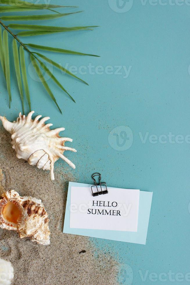 Summer composition. tropical palm leaves, seashells on blue background. Summer concept. Flat lay, top view, copy space photo