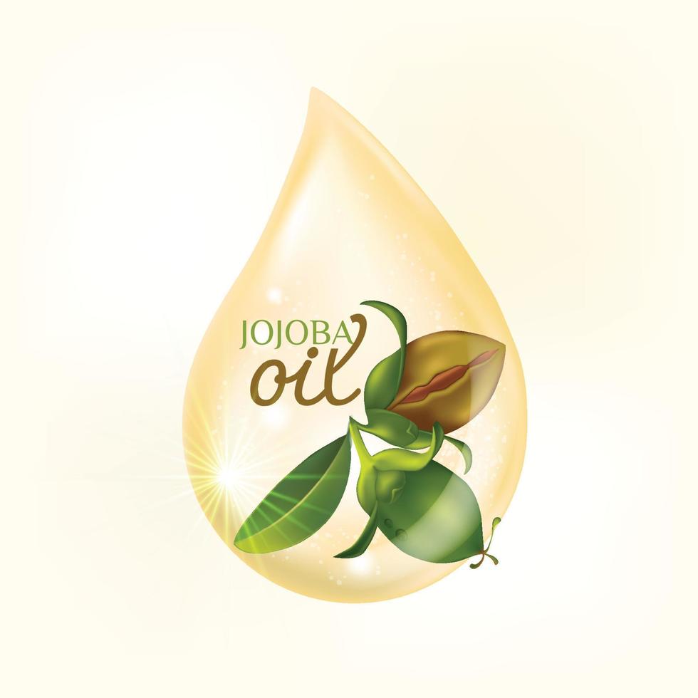 Jojoba natural skin care cosmetic Vector illustration