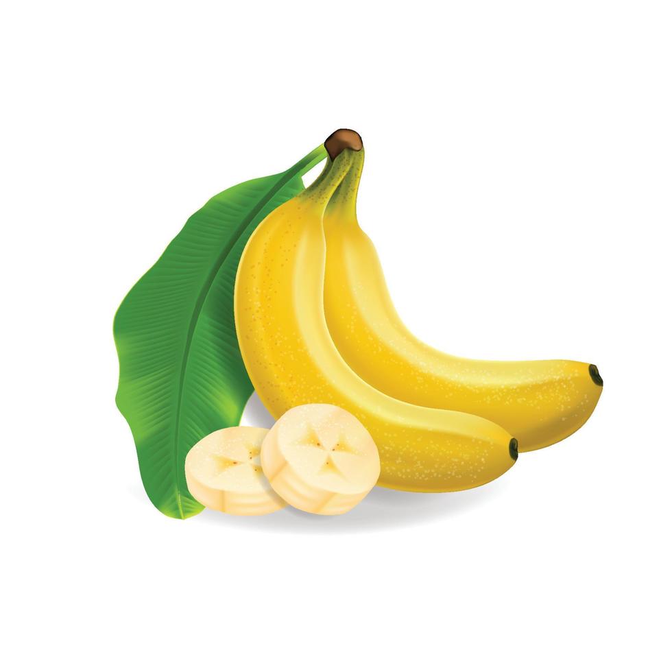 Banana fruits. Exotic desserts natural tropical plants vector healthy food bananas