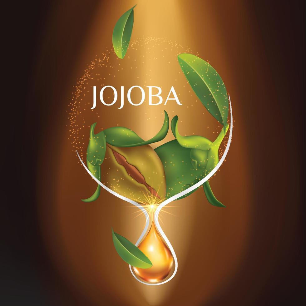 Ilustración de vector cosmético natural para el cuidado de la piel de jojoba