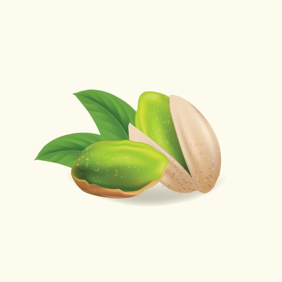 pistachos con hojas. granos de pistacho realistas de ilustración vectorial vector