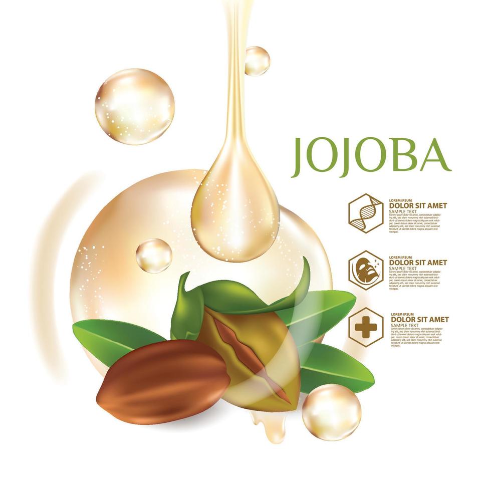 Ilustración de vector cosmético natural para el cuidado de la piel de jojoba