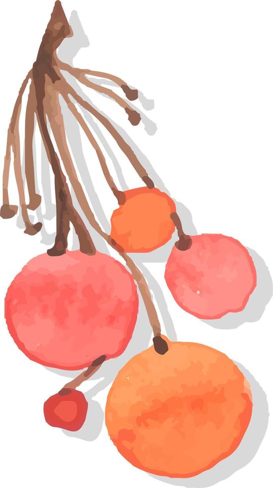 set of watercolor bunches of berries seasonal autumn vector isolated illustrations