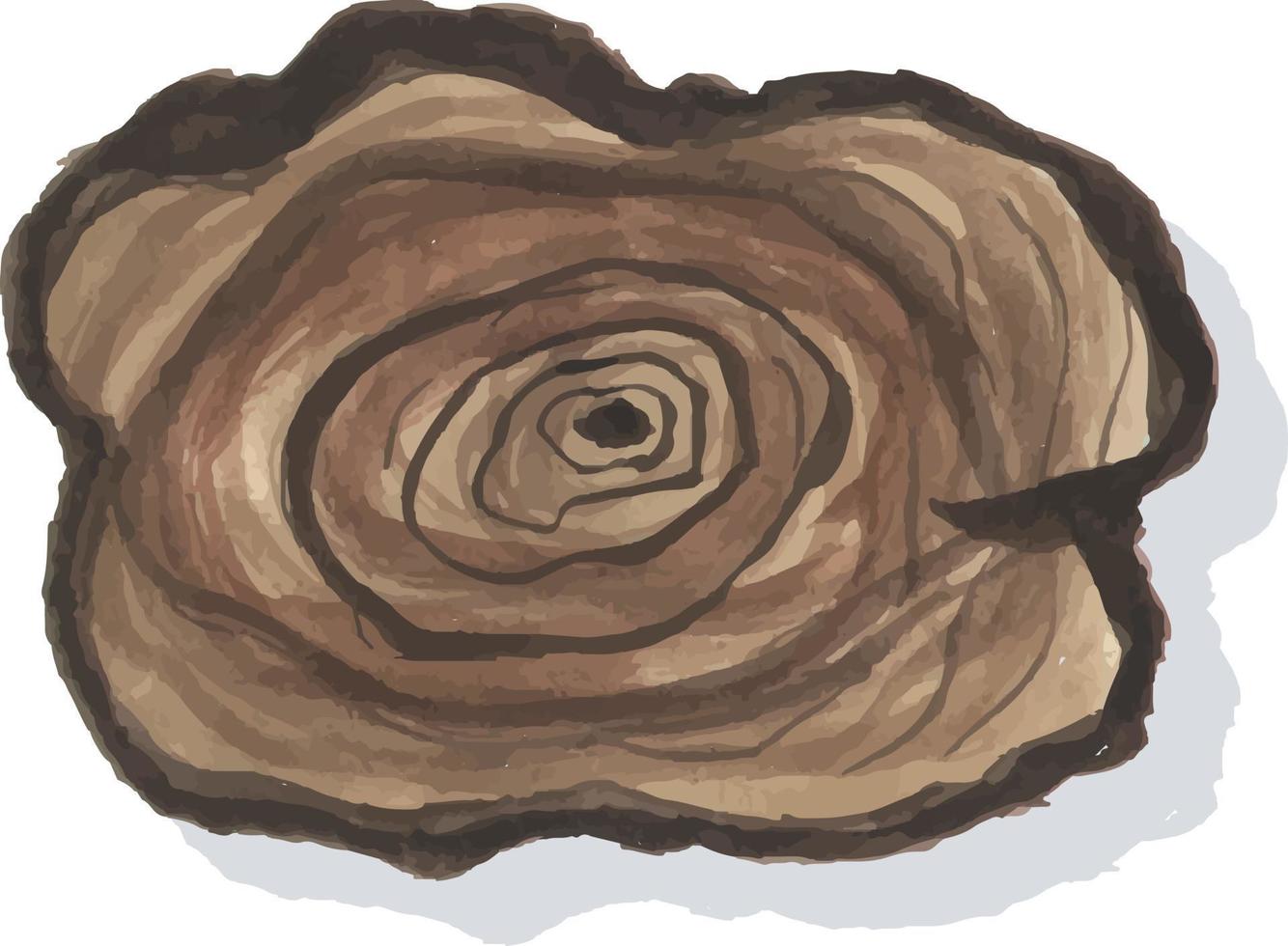 slab tree vector illustration hand drawing