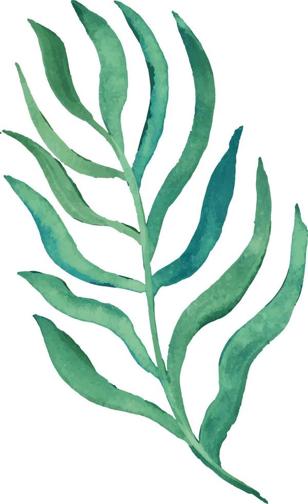 watercolor twig with leaves vector isolated element