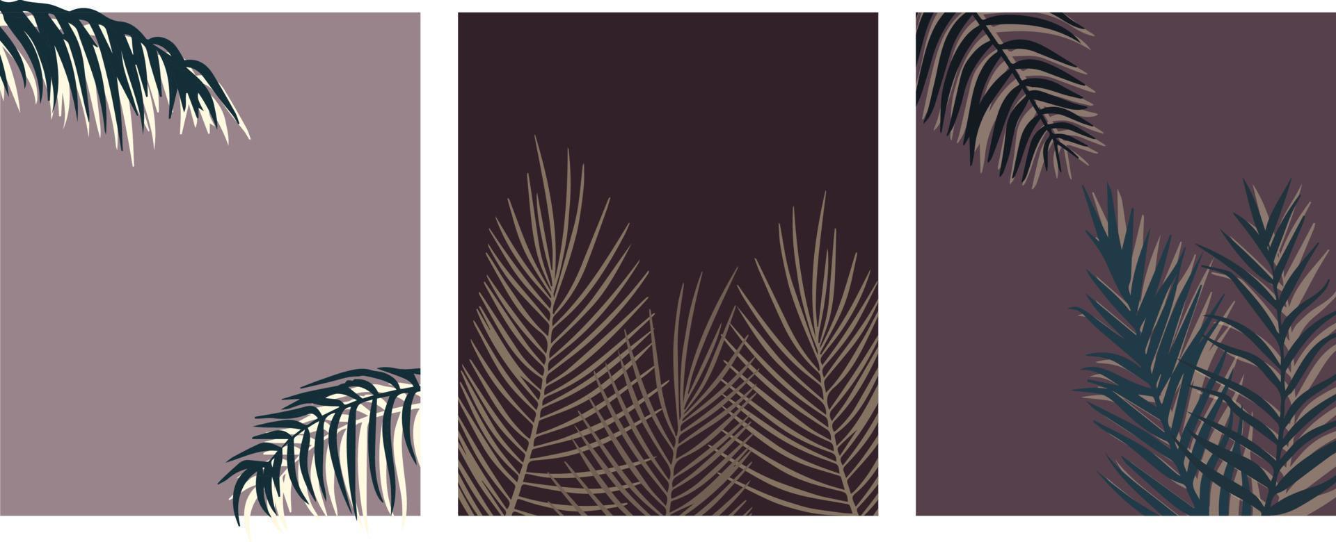 summer exotic backgrounds with palm branches vector