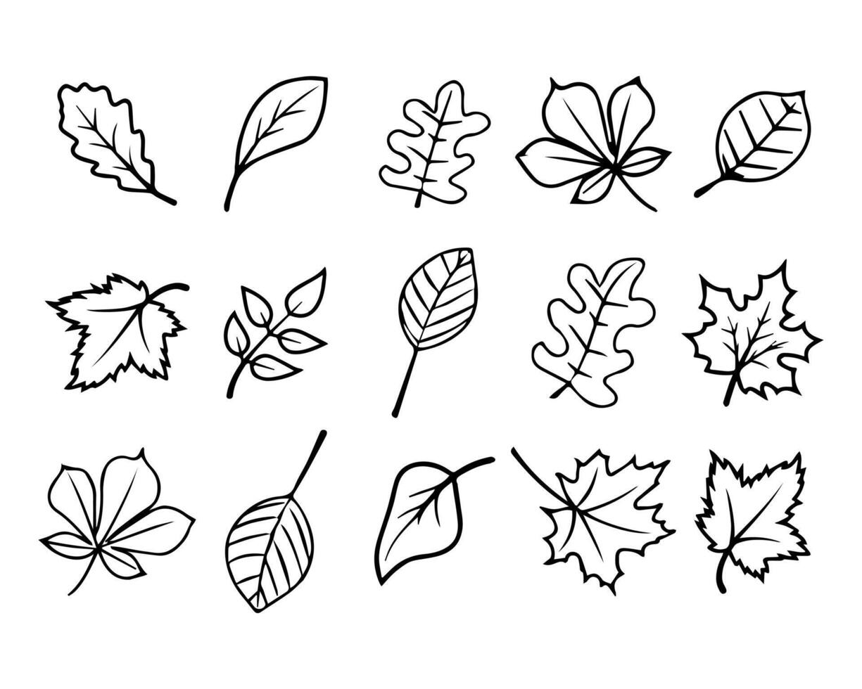 conjunto de hojas de árbol de contorno dibujadas a mano, arte de línea.  hojas de otoño para colorear, ilustración, vector 8922371 Vector en Vecteezy