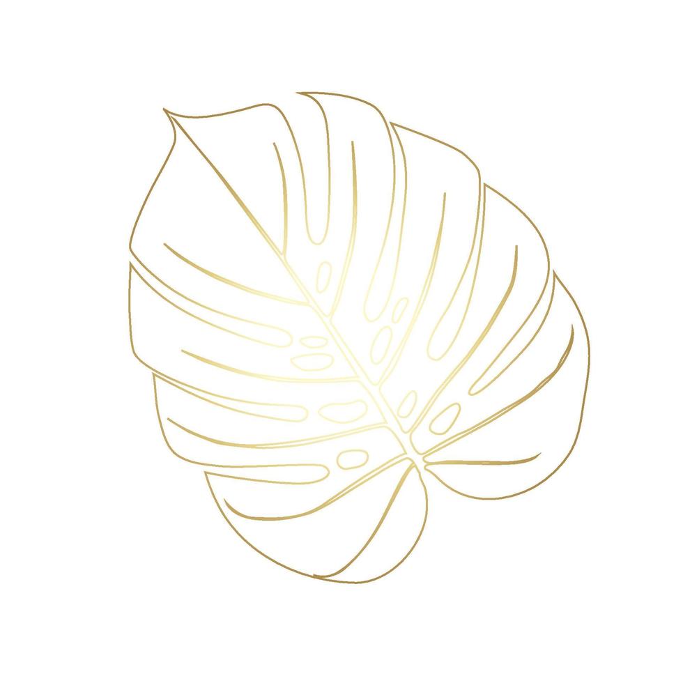 Monstera Deliciosa plant leaf from tropical forests isolated. Vector for greeting cards, flyers, invitations, web design