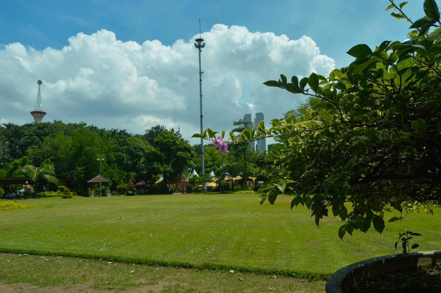 vista al jardín con hermosas plantas y nubes foto