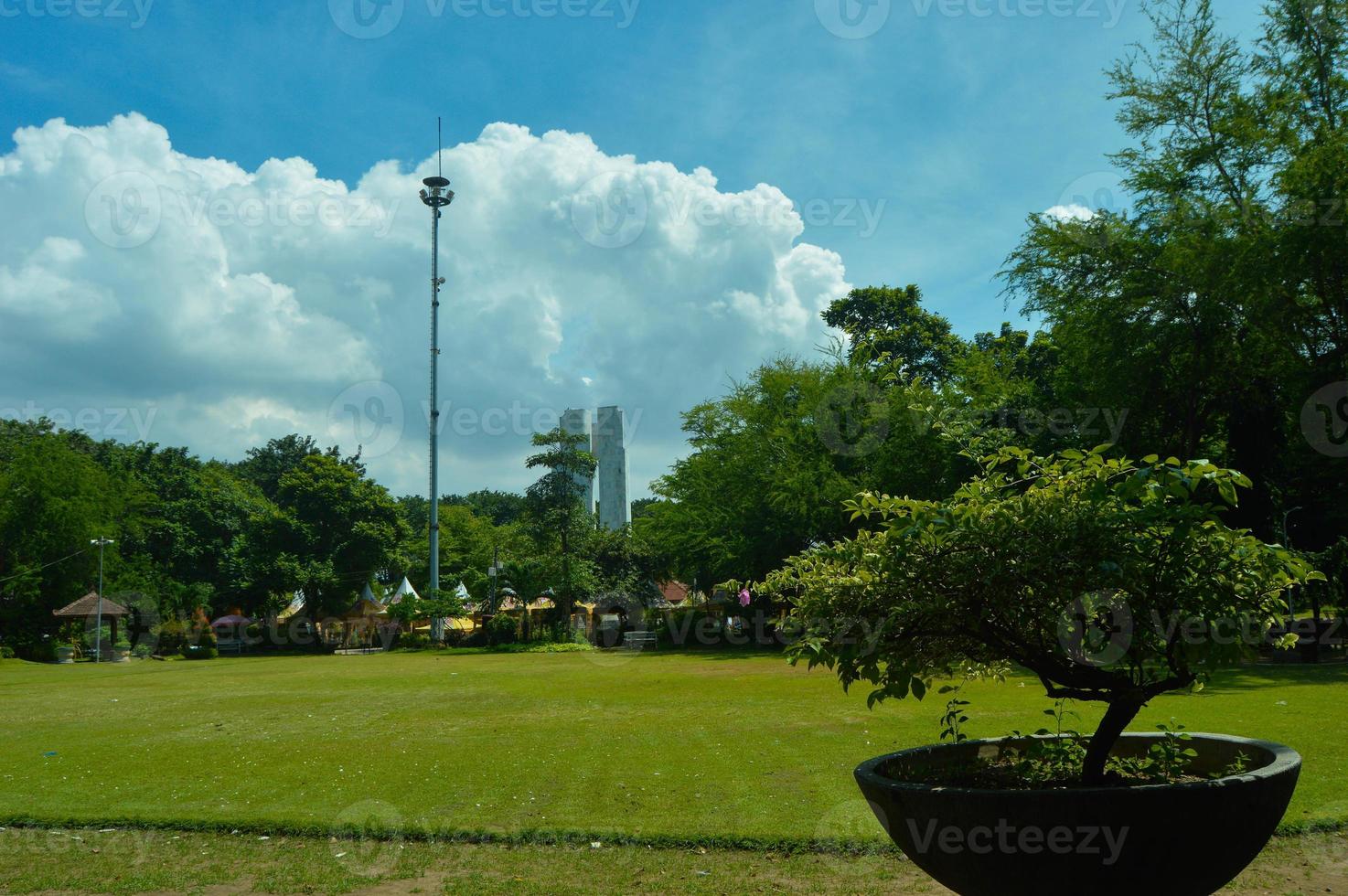 garden view with beautiful plants and clouds photo