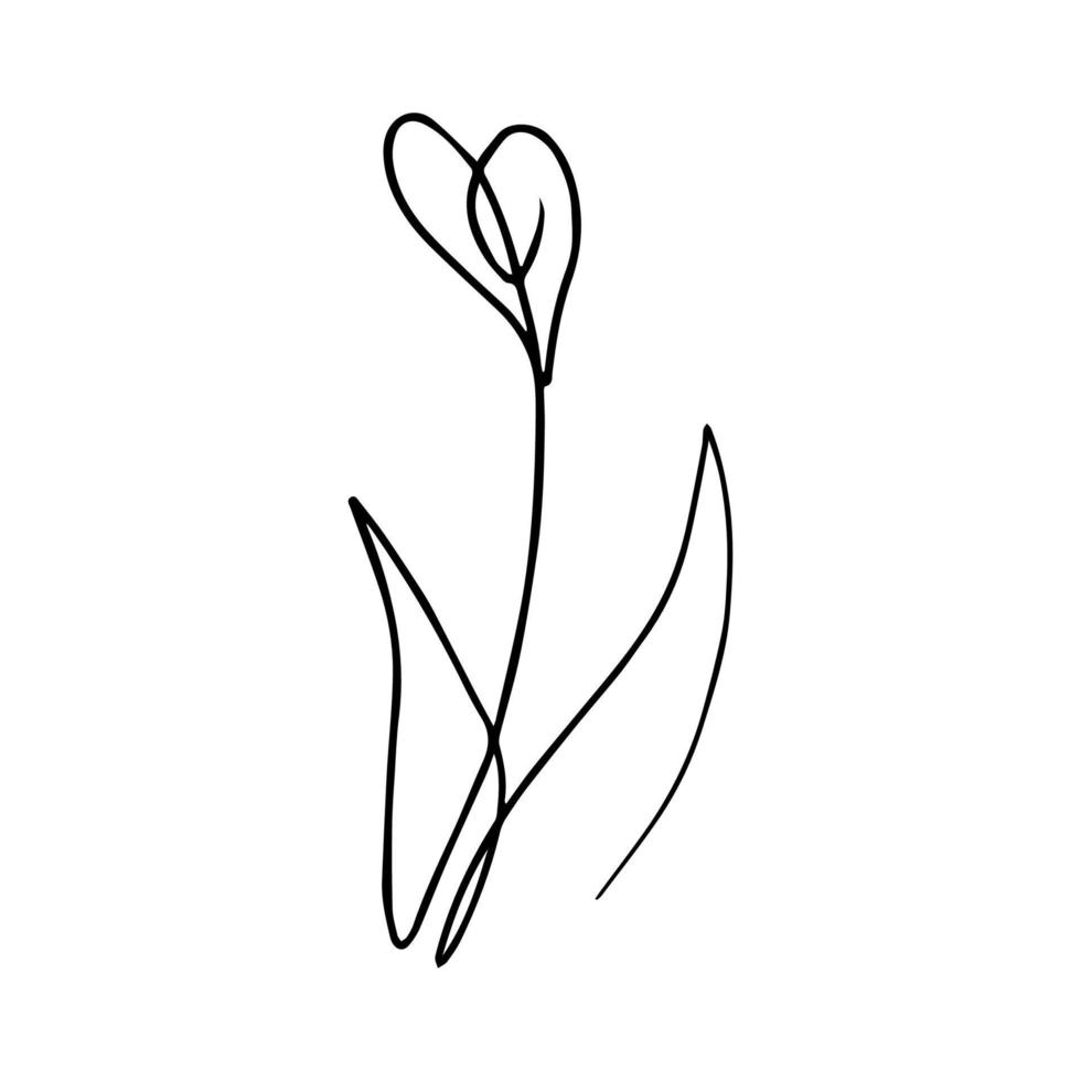 Elegant abstract flower drawn by one line 8924480 Vector Art at Vecteezy