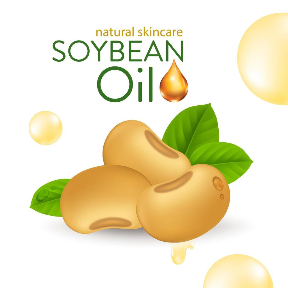Cosmético natural para el cuidado de la piel con suero de aceite de soja. ilustración de vector de esencia de humedad.