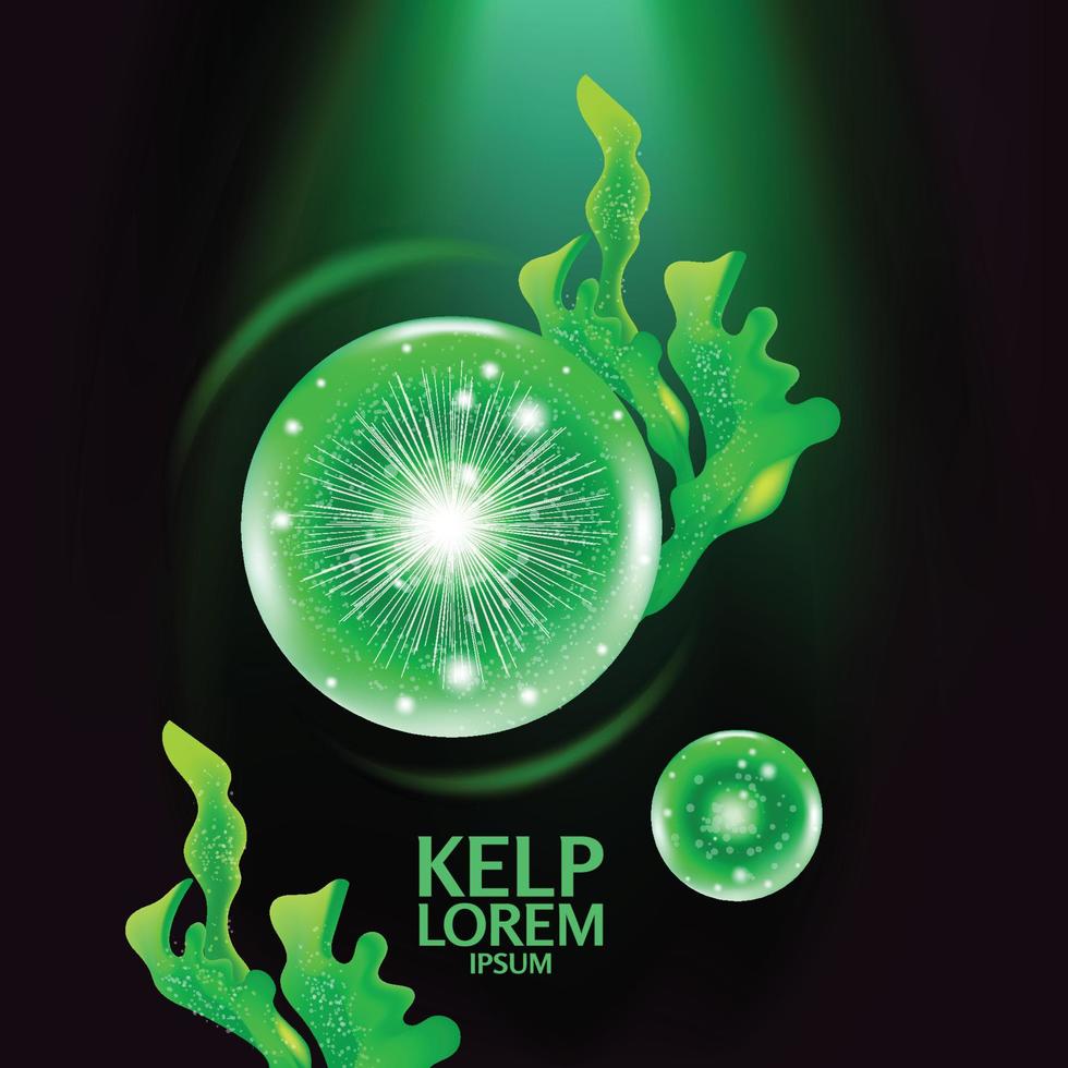 fresh Kelp seaweed salad sea food vector Illustration