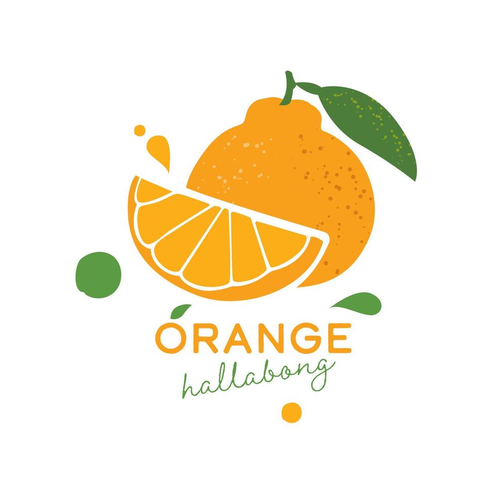 hallabong naranja de la isla de jeju sobre un fondo blanco vector