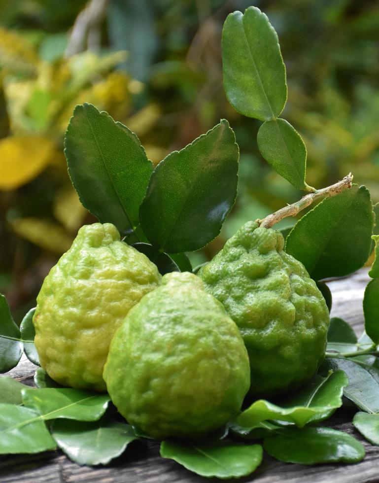 Kaffir limes and kaffir leaves on wood plank, blurred background, soft and selective focus. photo