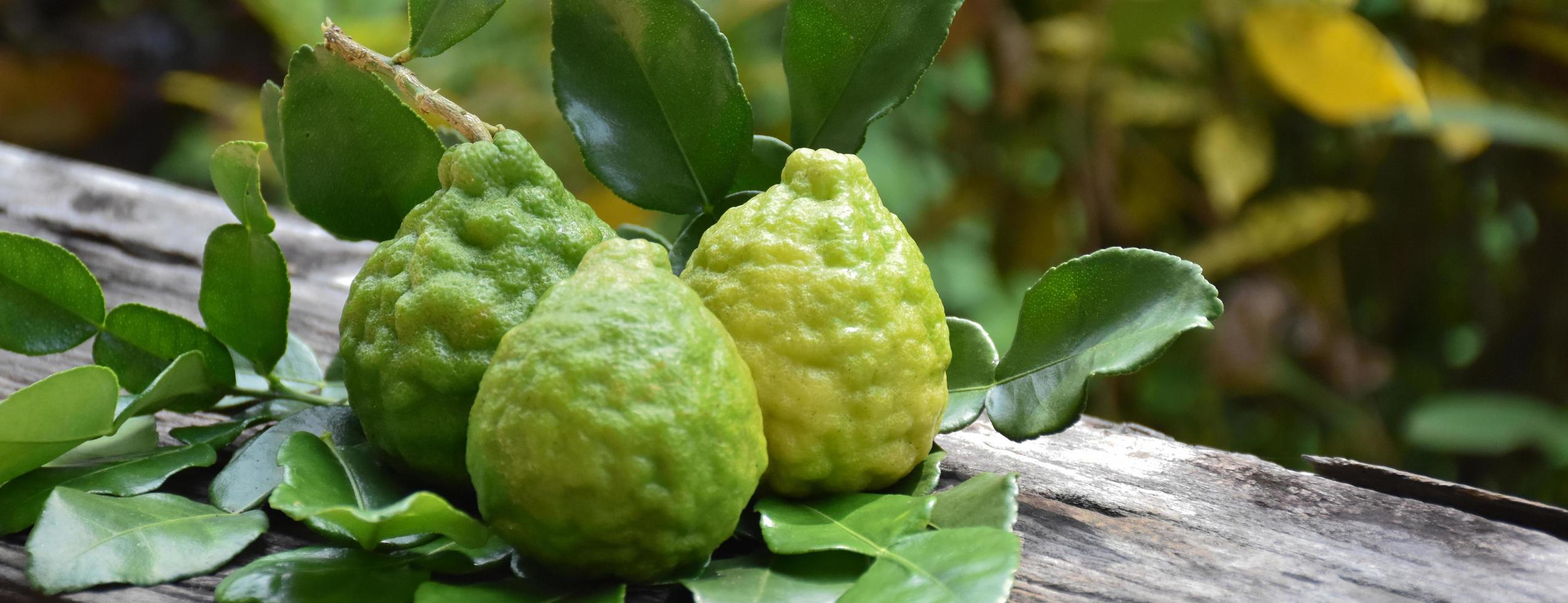 Kaffir limes and kaffir leaves on wood plank, blurred background, soft and selective focus. photo