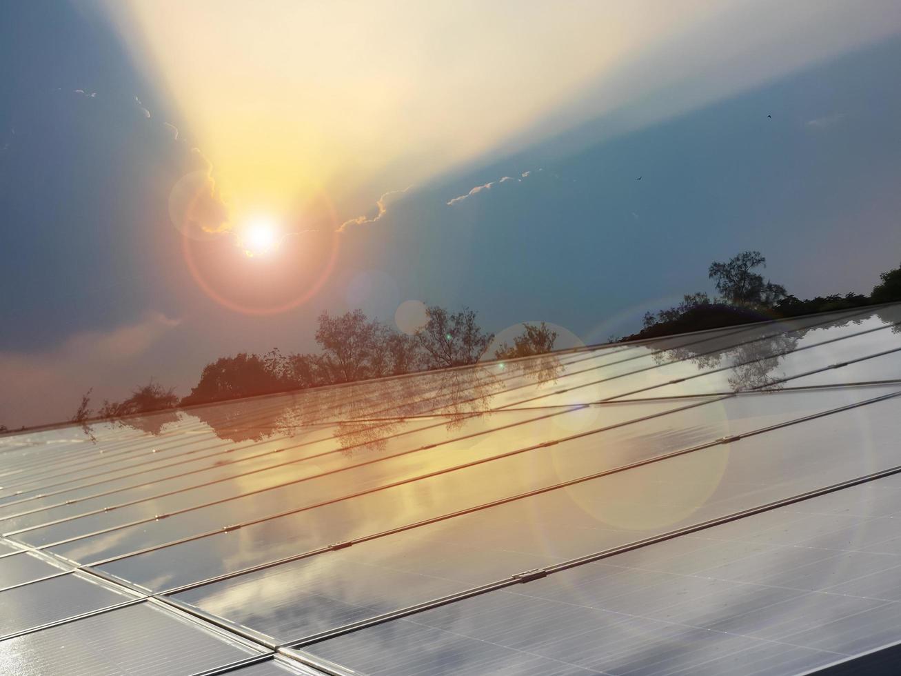 techo de panel fotovoltaico del edificio que se ensucia con polvo, caída de pájaros en la superficie foto