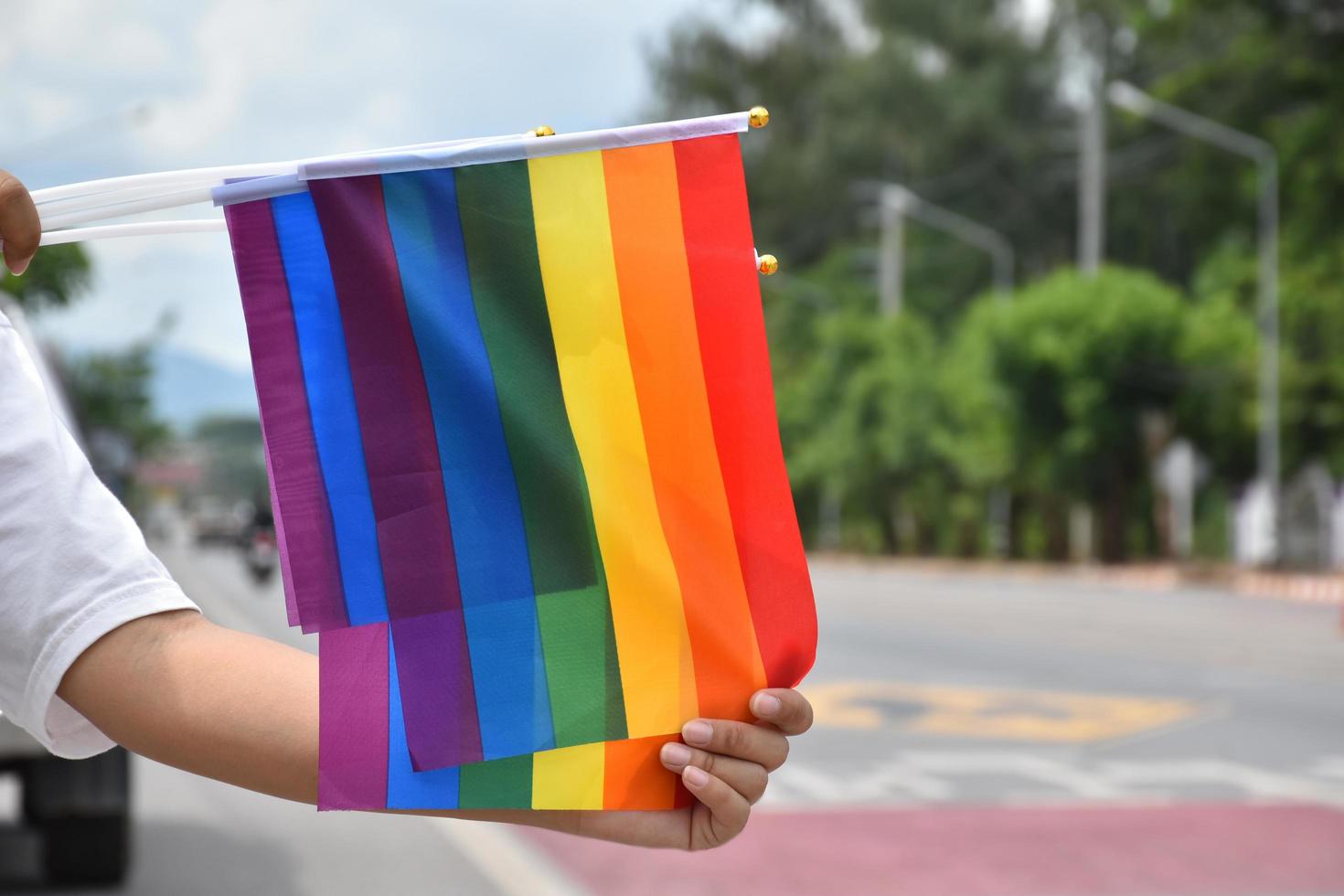banderas del arco iris, símbolo de las personas lgbt, sosteniendo en la mano a una joven asiática, de pie junto a la carretera rural para mostrar y llamar a los pasajeros y conductores de automóviles para que respeten y apoyen las actividades lgbt. foto