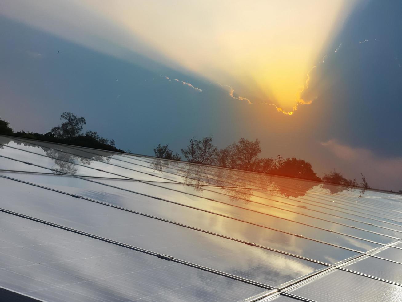 techo de panel fotovoltaico del edificio que se ensucia con polvo, caída de pájaros en la superficie foto