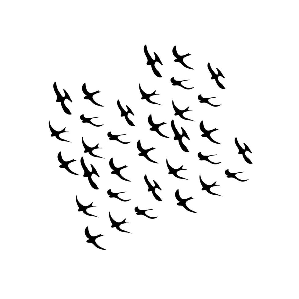 A group of black birds flying together silhouettes. Isolated on a white background. Vector illustration