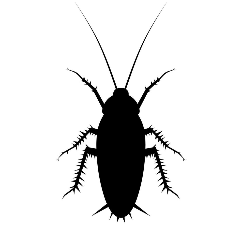 silueta de cucaracha negra. Aislado en un fondo blanco. ilustración vectorial vector