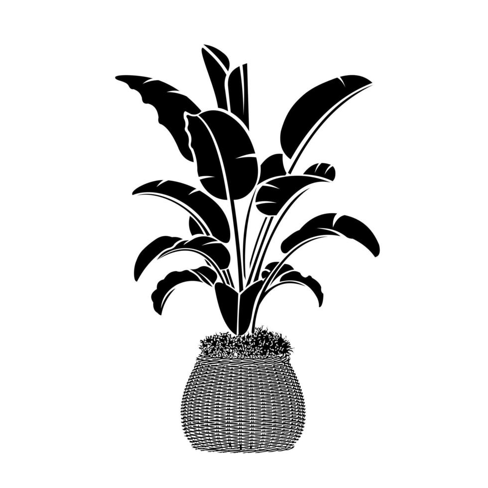Tropical palm tree silhouette in black color isolated on white background. Vector illustration
