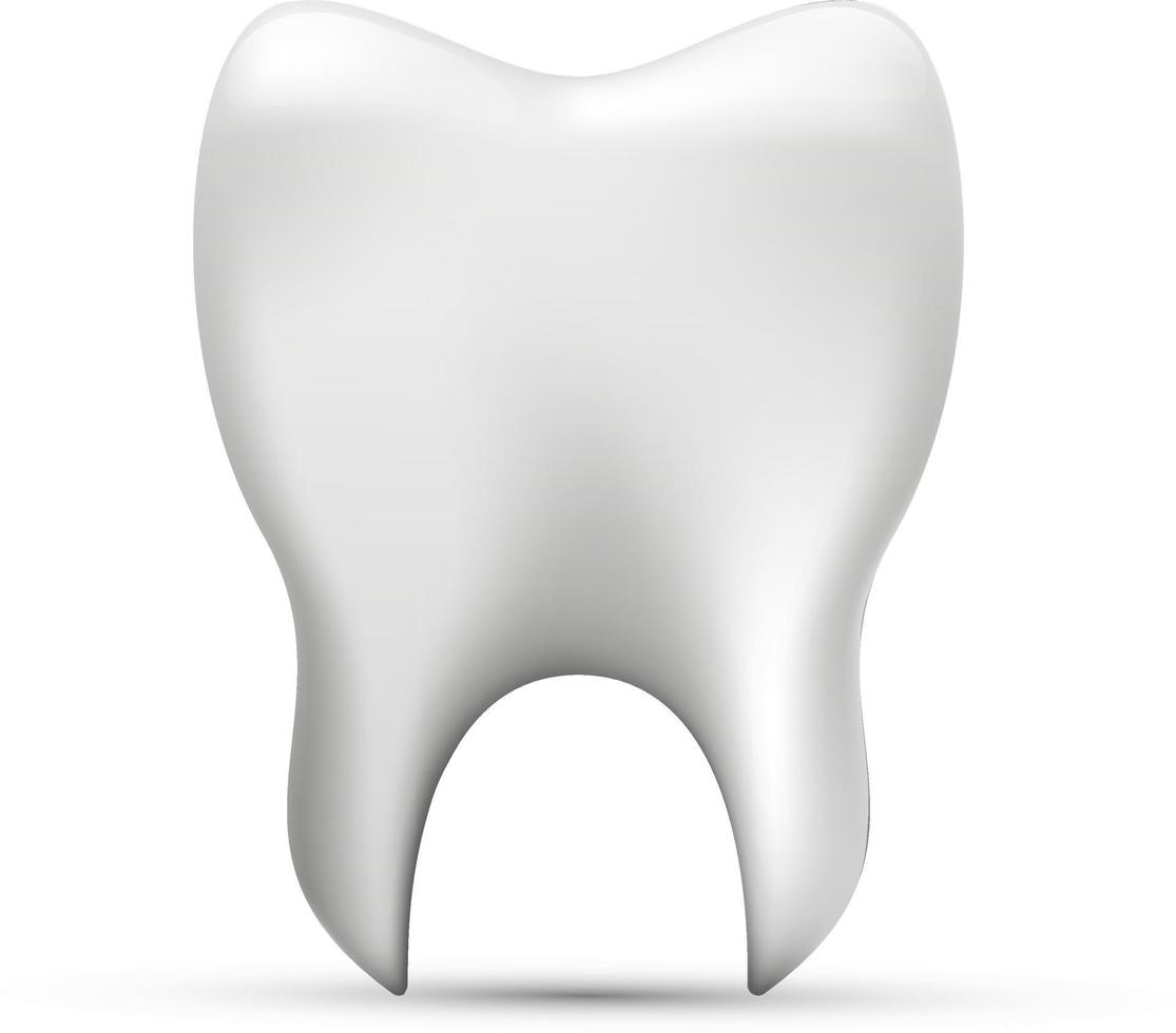 Realistic tooth design vector. White tooth design cartoon vector